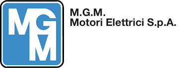 mgm elektrik motorları